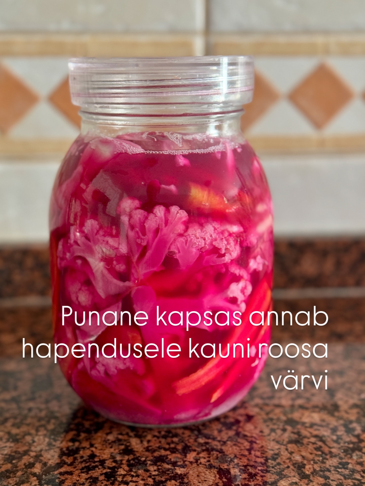 Mine vaata, blogisse said hapendamise juhtnöörikesed ka kirja. #laktofermented #hapendamine #hapendatudköögiviljad