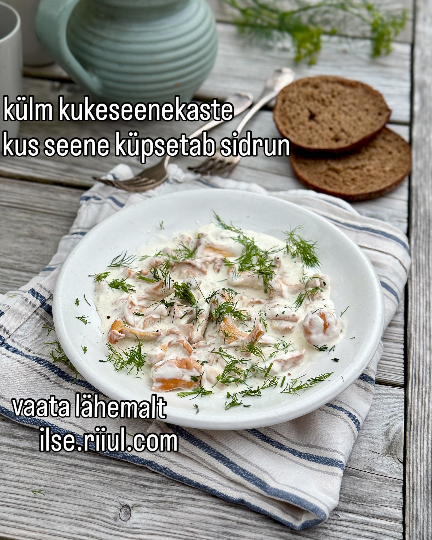 Kukeseene hooaeg kestab, põnev kaste kus pliiti pole vaja #ilseköögis #ilseriiul #kukeseened