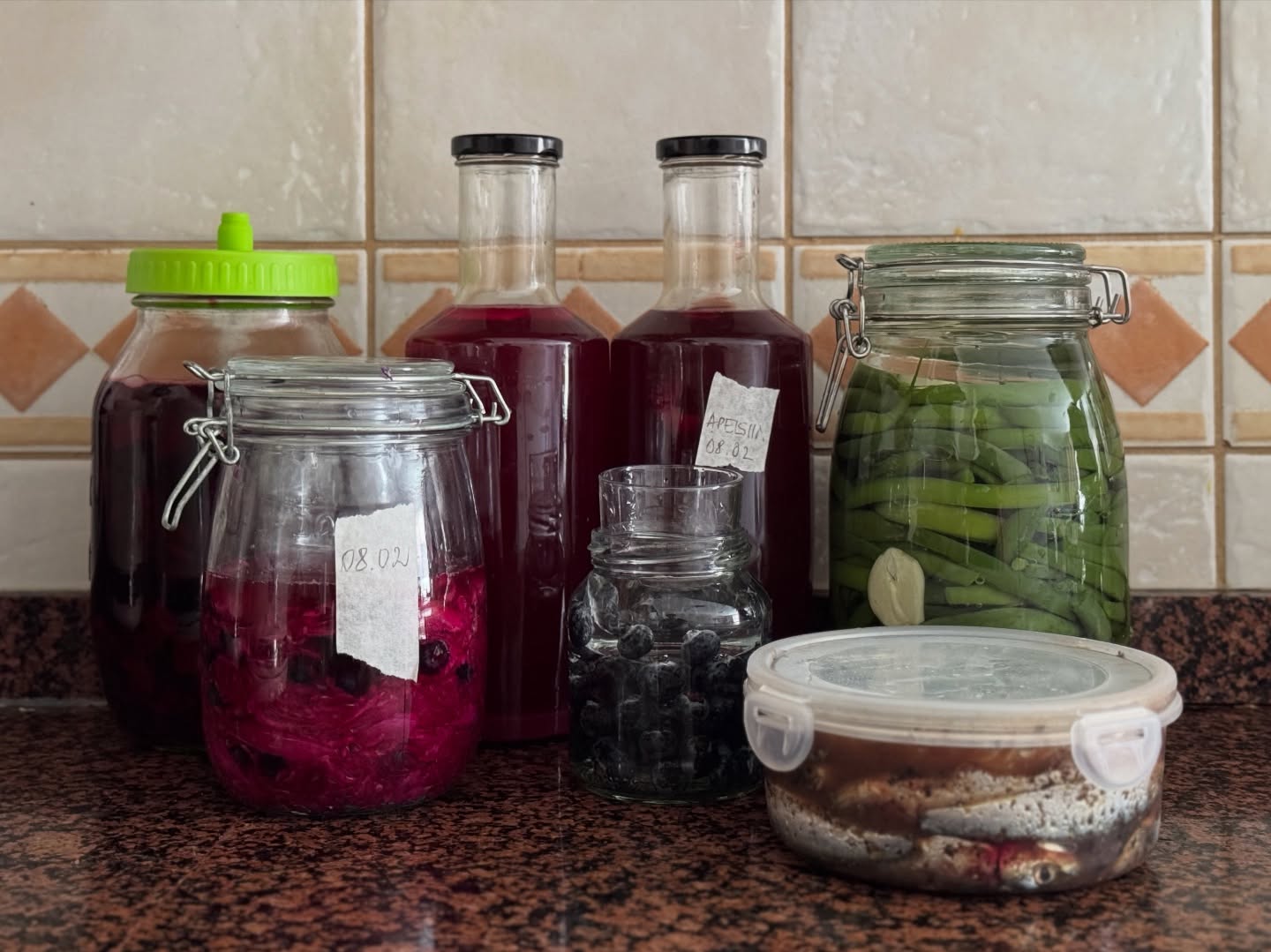 Vabariigi aastapäev ei ole enam kaugel. Kilu puudumisel fermenteerime sardiine. Kuna hetkel pole ka sardiini hooaeg, siis need on sügavkülmast. Annan hiljem teada kas töötas. Lisaks mõned sõbrapäeva napsud ja natuke igapäevast hapendust #fermentationstation #vürtsisardiin #hapendamine #fermenteeritudkala